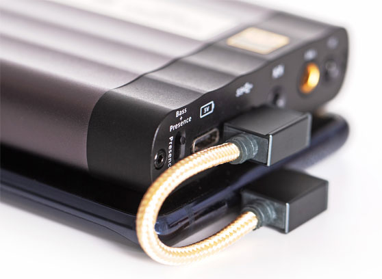 iFi Audio Type-C OTG - cecha 1